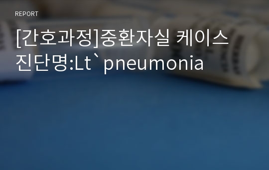 [간호과정]중환자실 케이스 진단명:Lt`pneumonia