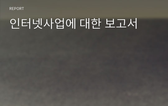 인터넷사업에 대한 보고서