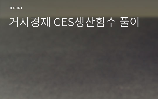 거시경제 CES생산함수 풀이