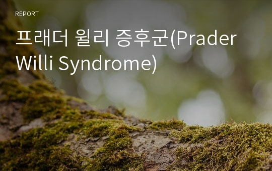 프래더 윌리 증후군(Prader Willi Syndrome)