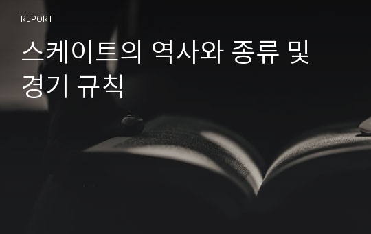 스케이트의 역사와 종류 및 경기 규칙