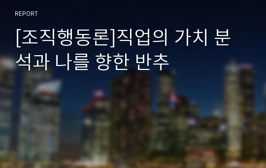 [조직행동론]직업의 가치 분석과 나를 향한 반추