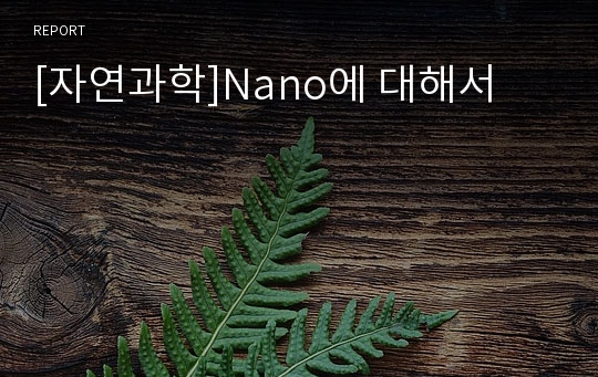 [자연과학]Nano에 대해서