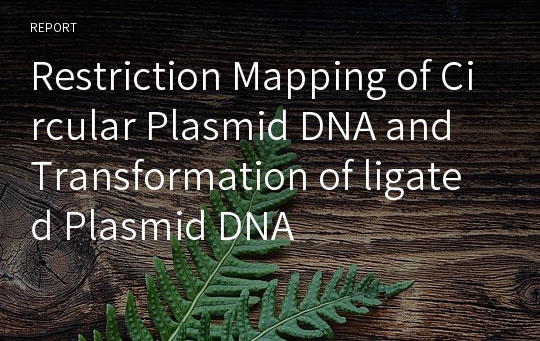 Restriction Mapping of Circular Plasmid DNA and Transformation of ligated Plasmid DNA