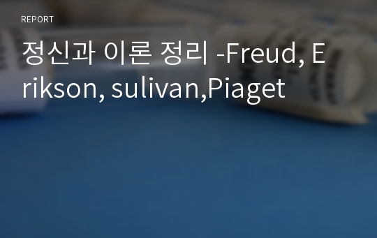 정신과 이론 정리 -Freud, Erikson, sulivan,Piaget