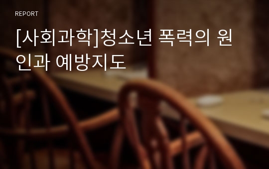 [사회과학]청소년 폭력의 원인과 예방지도