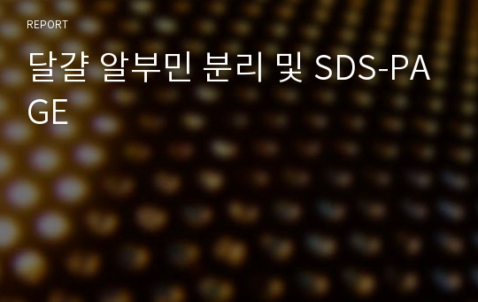 달걀 알부민 분리 및 SDS-PAGE