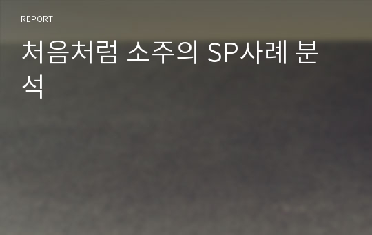 처음처럼 소주의 SP사례 분석