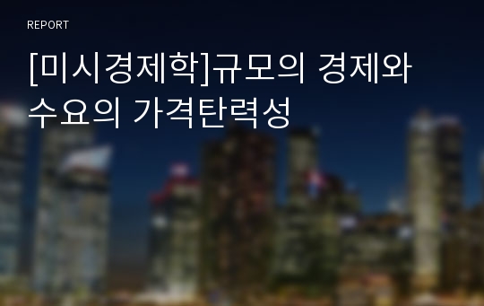 [미시경제학]규모의 경제와 수요의 가격탄력성