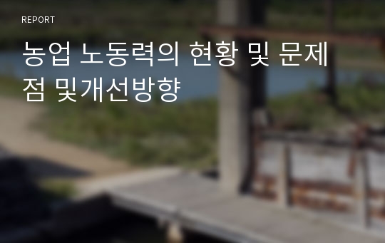 농업 노동력의 현황 및 문제점 및개선방향