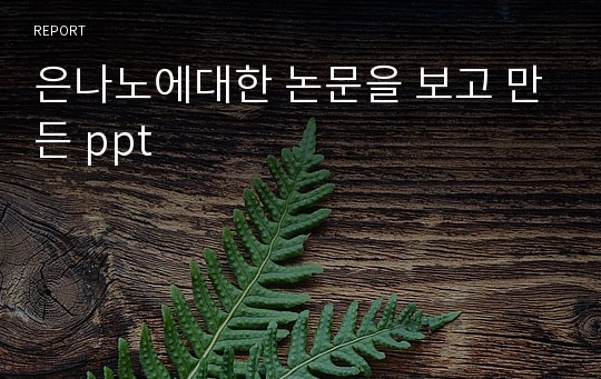 은나노에대한 논문을 보고 만든 ppt