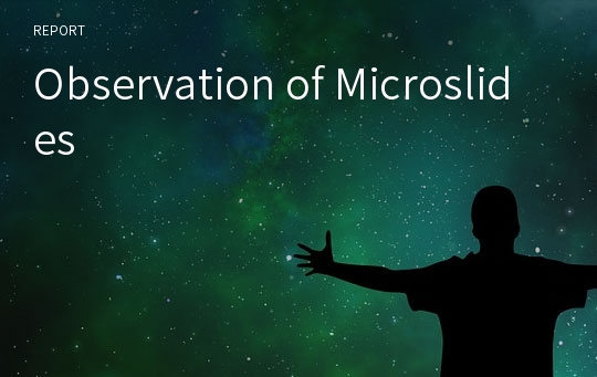 Observation of Microslides