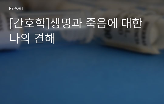 [간호학]생명과 죽음에 대한 나의 견해