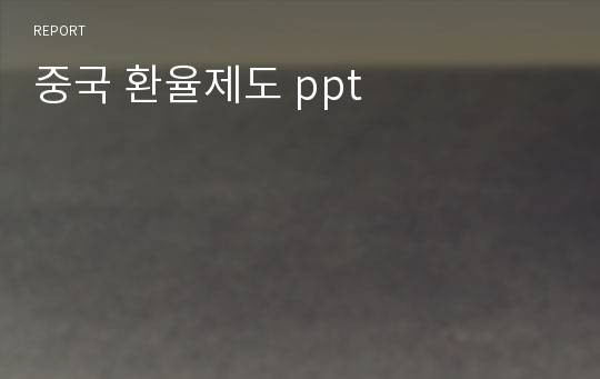 중국 환율제도 ppt