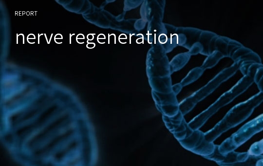 nerve regeneration