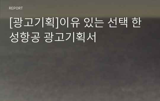 [광고기획]이유 있는 선택 한성항공 광고기획서