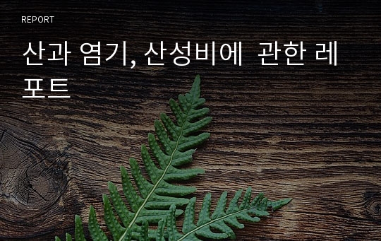 산과 염기, 산성비에  관한 레포트