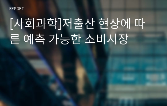 [사회과학]저출산 현상에 따른 예측 가능한 소비시장