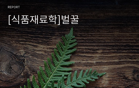 [식품재료학]벌꿀