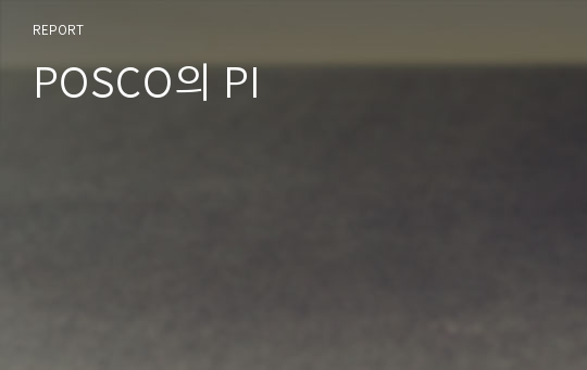 POSCO의 PI