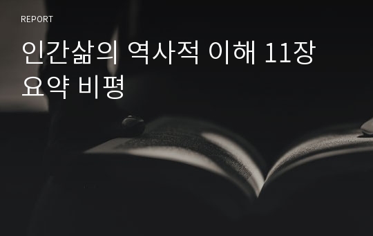 인간삶의 역사적 이해 11장 요약 비평