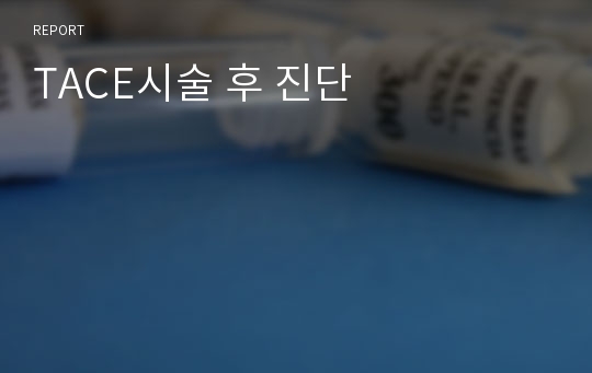 TACE시술 후 진단