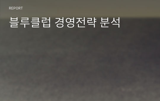 블루클럽 경영전략 분석