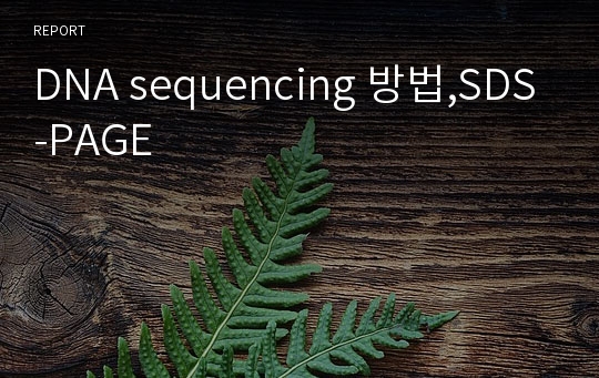 DNA sequencing 방법,SDS-PAGE