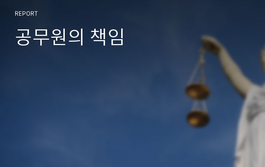 공무원의 책임