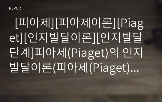   [피아제][피아제이론][Piaget][인지발달이론][인지발달단계]피아제(Piaget)의 인지발달이론(피아제(Piaget) 이론의 기본개요, 인지발달의 단계, 피아제(Piaget) 이론의 교육적 시사점, 피아제(Piaget) 이론 비판)