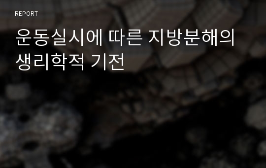 운동실시에 따른 지방분해의 생리학적 기전