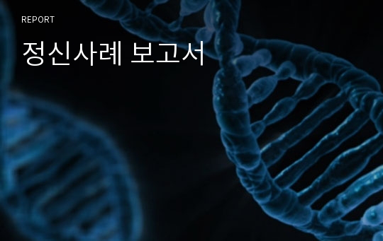 정신사례 보고서