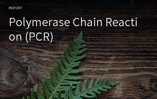 Polymerase Chain Reaction (PCR)