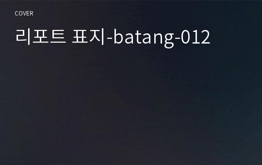 리포트 표지-batang-012