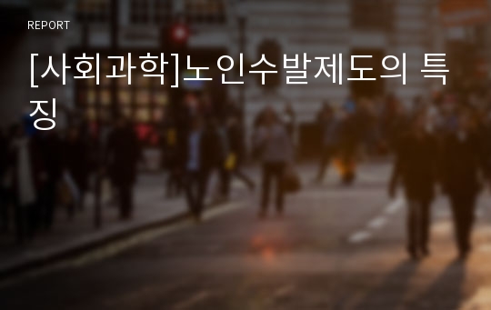 [사회과학]노인수발제도의 특징