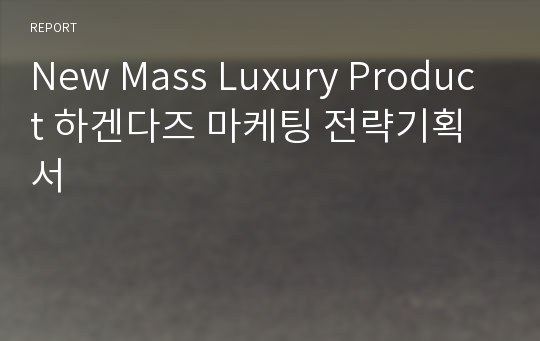 New Mass Luxury Product 하겐다즈 마케팅 전략기획서