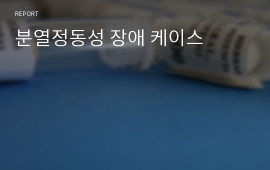 분열정동성 장애 케이스