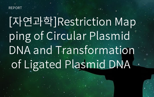 [자연과학]Restriction Mapping of Circular Plasmid DNA and Transformation of Ligated Plasmid DNA