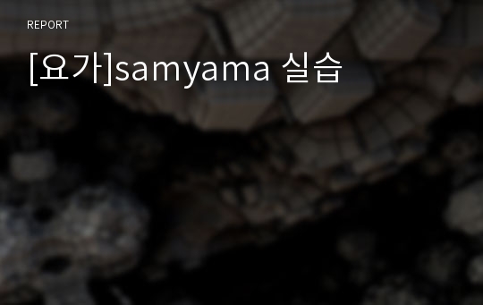 [요가]samyama 실습