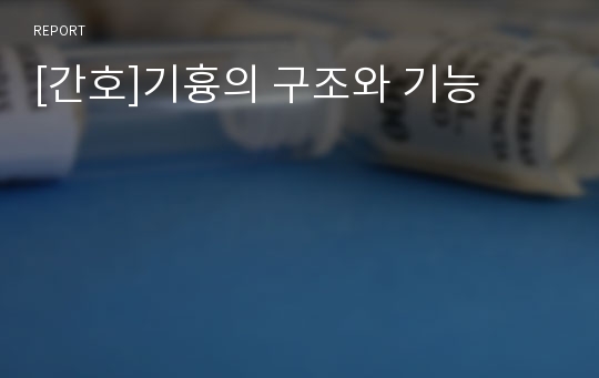 [간호]기흉의 구조와 기능