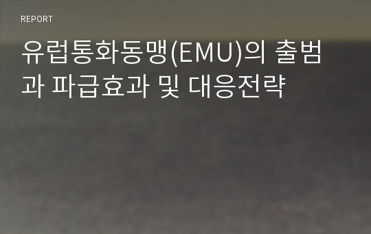 유럽통화동맹(EMU)의 출범과 파급효과 및 대응전략