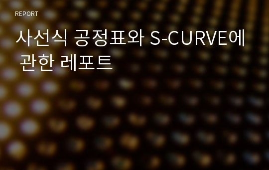 사선식 공정표와 S-CURVE에 관한 레포트