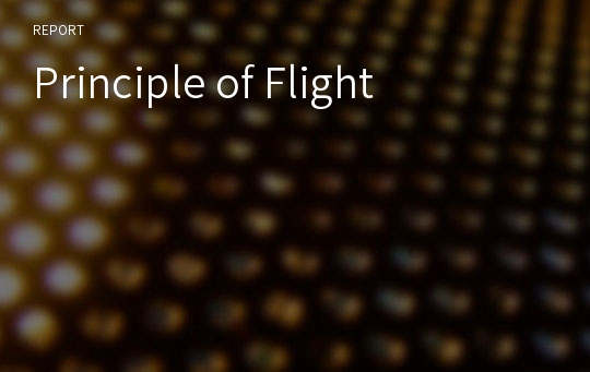 Principle of Flight