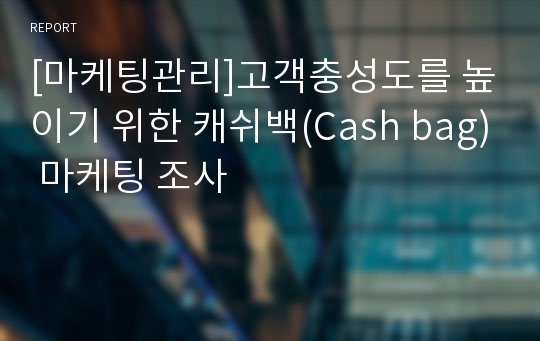 [마케팅관리]고객충성도를 높이기 위한 캐쉬백(Cash bag) 마케팅 조사