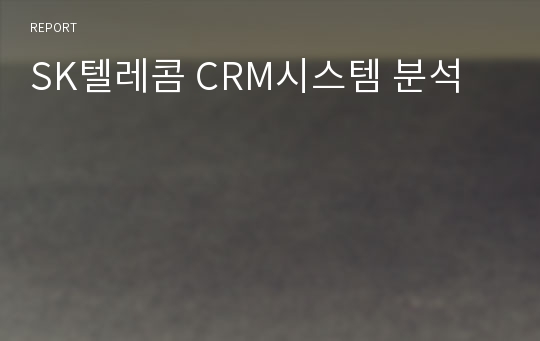 SK텔레콤 CRM시스템 분석