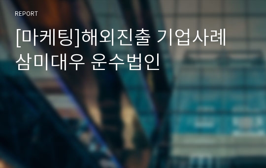 [마케팅]해외진출 기업사례 삼미대우 운수법인