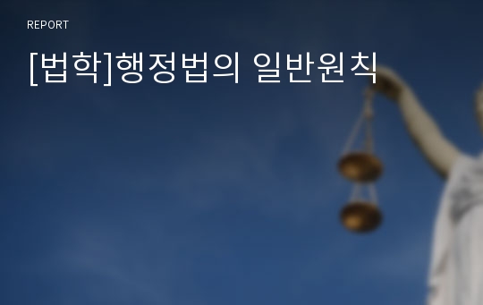 [법학]행정법의 일반원칙