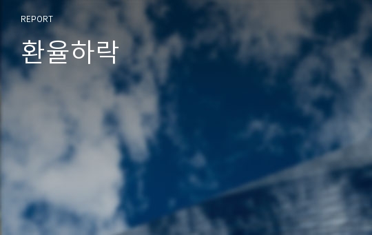 환율하락