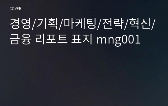 경영/기획/마케팅/전략/혁신/금융 리포트 표지 mng001