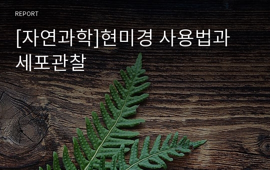 [자연과학]현미경 사용법과 세포관찰